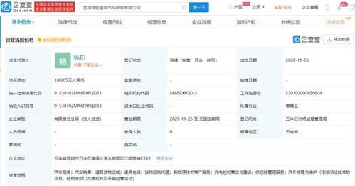 吉利新成立8家公司，技術推廣服務成核心戰略
